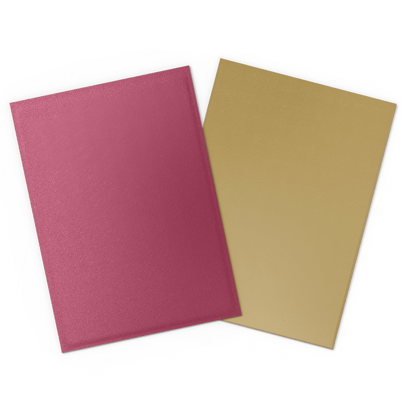 Arcane Tinmen Dragon Shield Matte Dual - Pomegranate & Gold (100 Sleeves) available at Northumbrian Tin Soldier