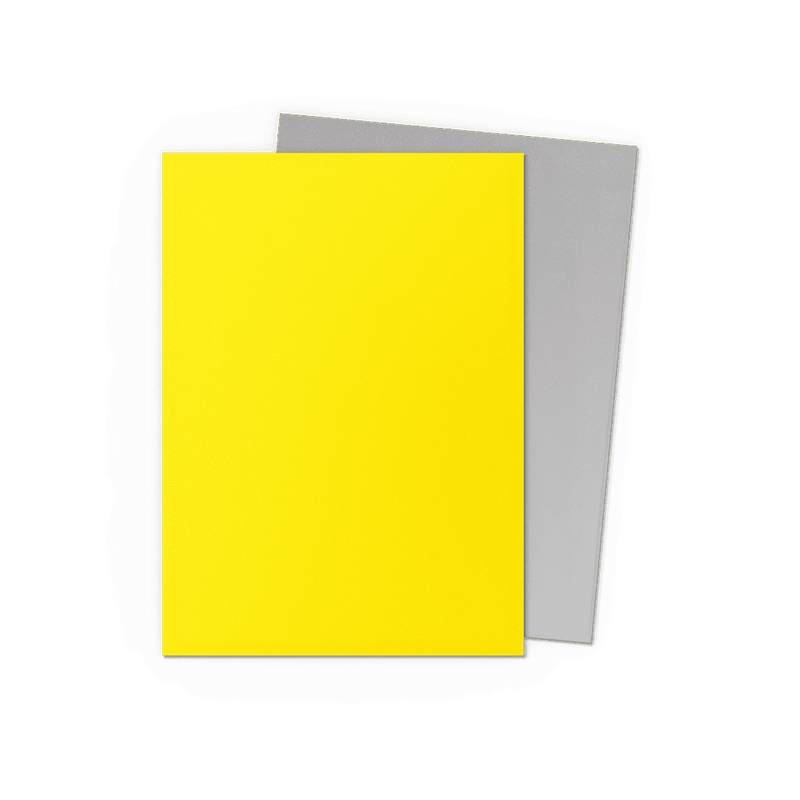 Arcane Tinmen Dragon Shield Matte Dual - Yellow and Silver (100 Sleeves) available at Northumbrian Tin Soldier