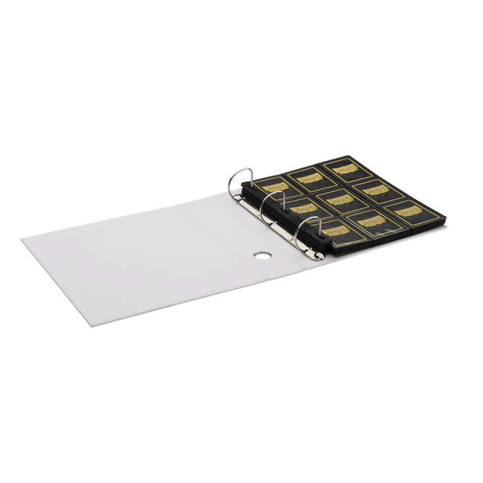 Arcane Tinmen Dragon Shield - Sanctuary Slipcase Binder - White available at Northumbrian Tin Soldier