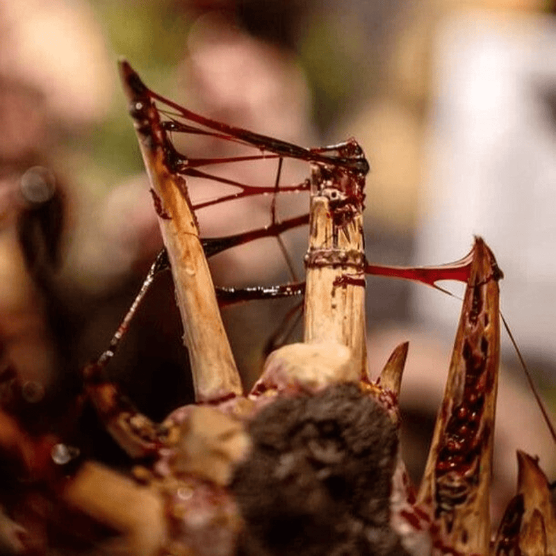 Dirty Down Dirty Down Gore Effect 15ml available at Northumbrian Tin Soldier