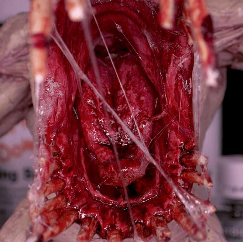 Dirty Down Dirty Down Gore Effect 15ml available at Northumbrian Tin Soldier