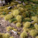 Gamers Grass Gamers Grass: 12mm Wild Tufts - Light Green XL Basing Materials available at Northumbrian Tin Soldier