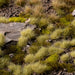 Gamers Grass Gamers Grass: 4mm Small Tufts - Light Green Basing Materials available at Northumbrian Tin Soldier