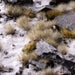 Gamers Grass Gamers Grass: 5mm Small Tufts - Winter Basing Materials available at Northumbrian Tin Soldier