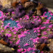 Gamers Grass Gamers Grass: Tiny Tufts Alien Neon Basing Materials available at Northumbrian Tin Soldier
