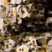 Gamers Grass Gamers Grass: Tiny Tufts Dark Moss Basing Materials available at Northumbrian Tin Soldier