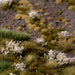 Gamers Grass Gamers Grass: Wild Flowers - White Flowers Basing Materials available at Northumbrian Tin Soldier