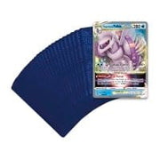 The Pokémon Company Pokémon : 2022 World Championship Sebastian Rikuto Ohashi’s “Ice Rider Palkia” Deck available at Northumbrian Tin Soldier